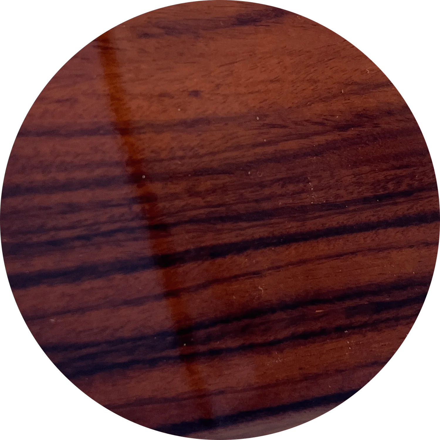 Rosewood High Gloss-2