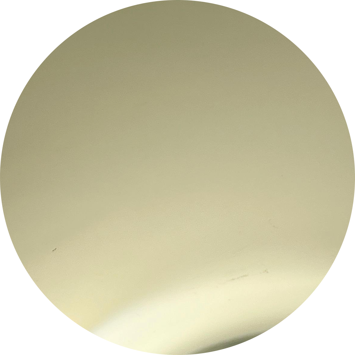 8) S.S. Light Gold Glossy-2