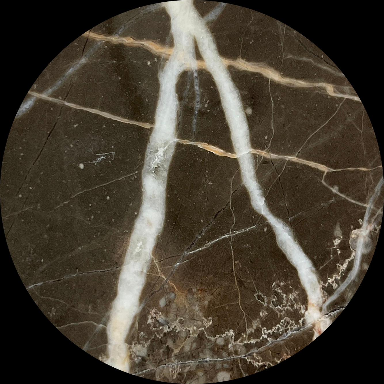 Italian Gray Marble-2