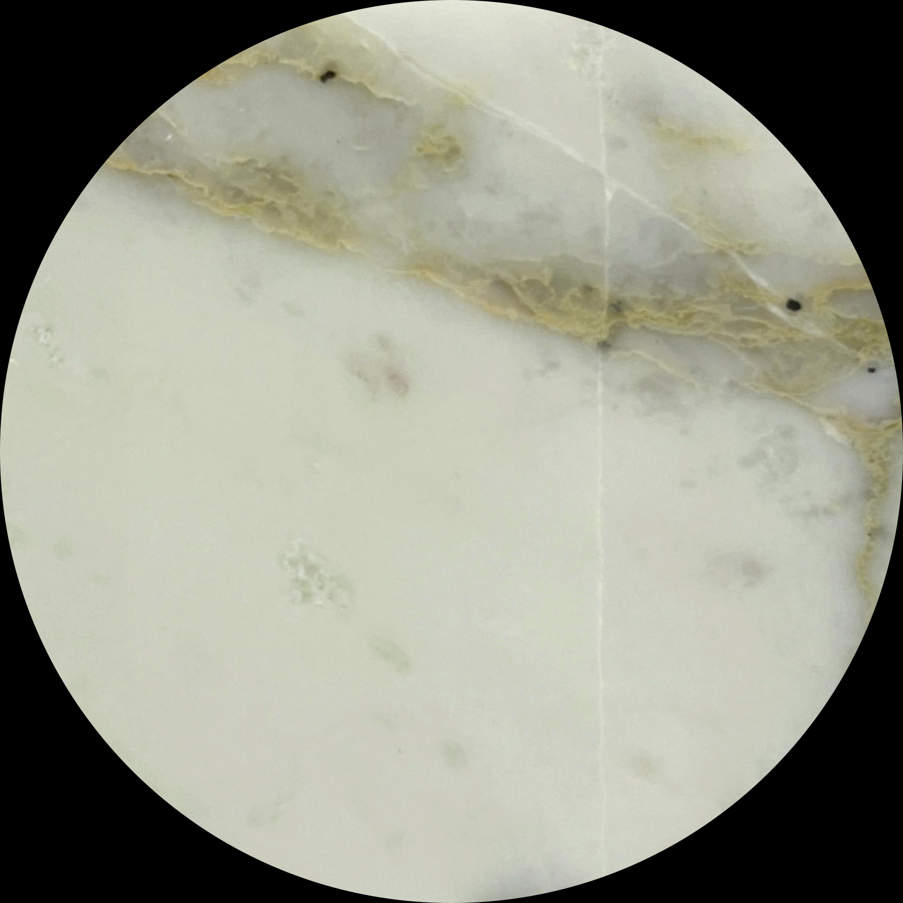 Calacatta Gold Marble-2